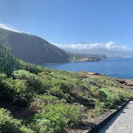 Toucan's Nest: Landing In Paradise