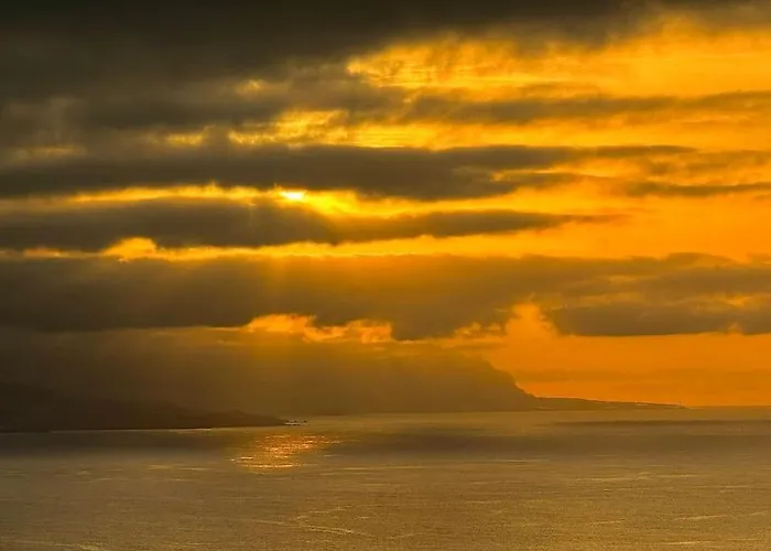 Toucan's Nest: Landing In Paradise Lejlighed La Matanza De Acentejo