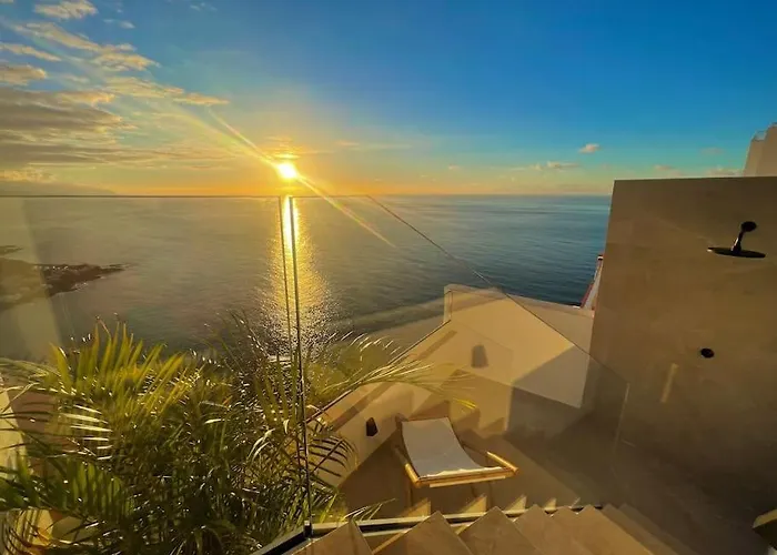 Toucan's Nest: Landing In Paradise